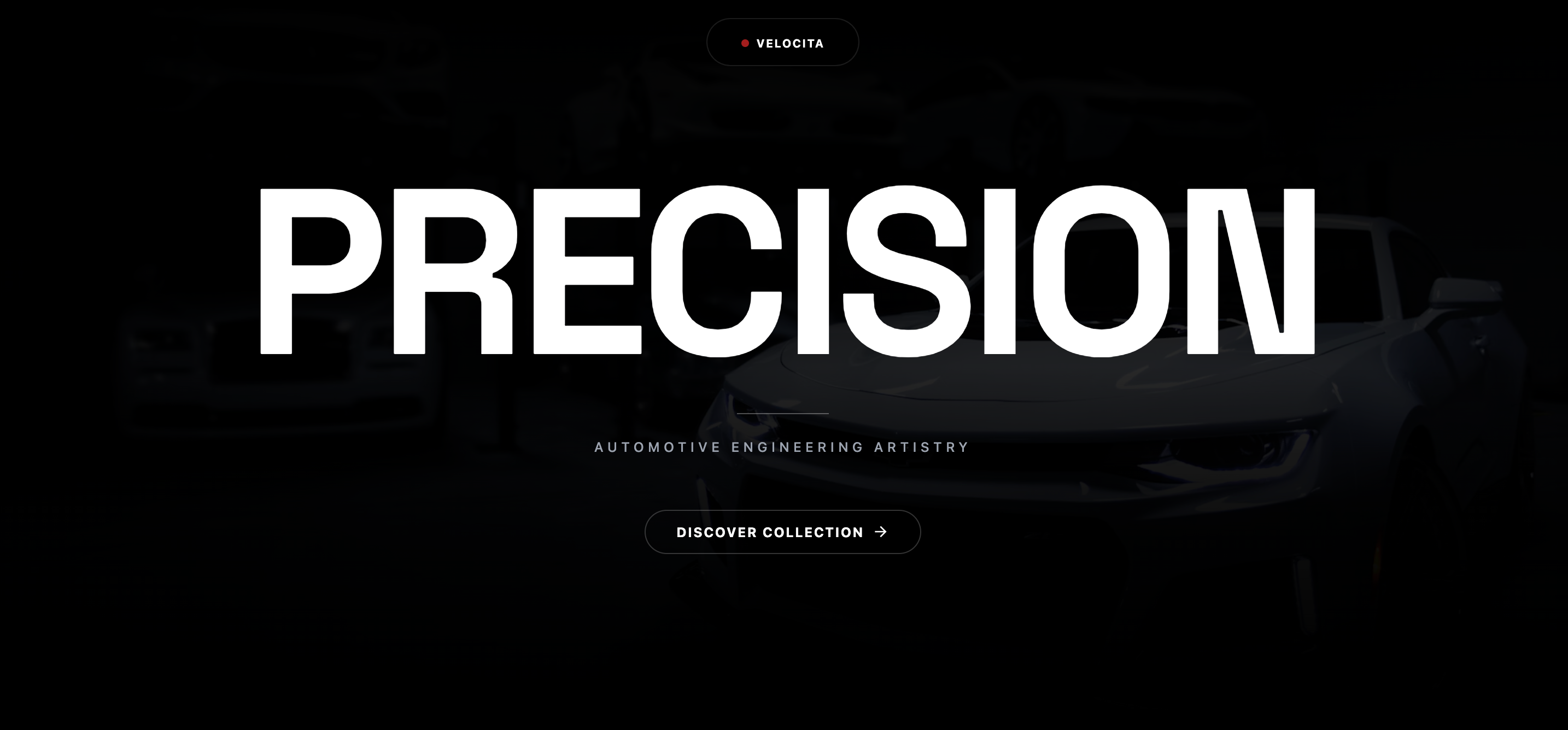 Velocita project screenshot