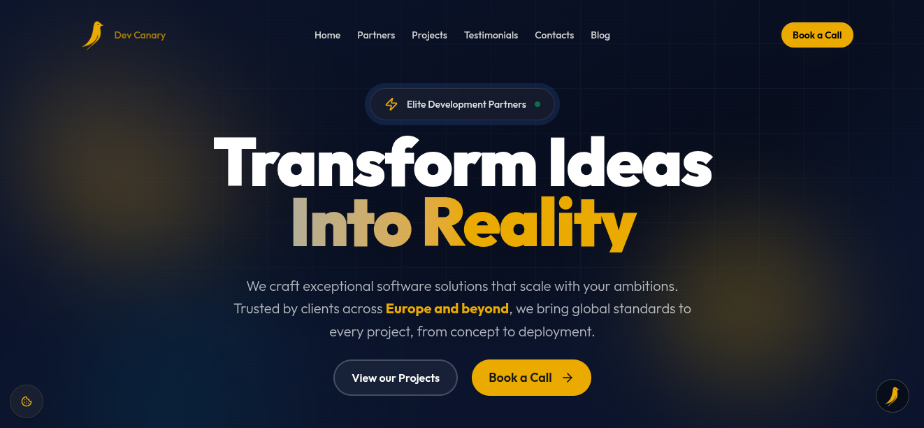 DevCanary project screenshot